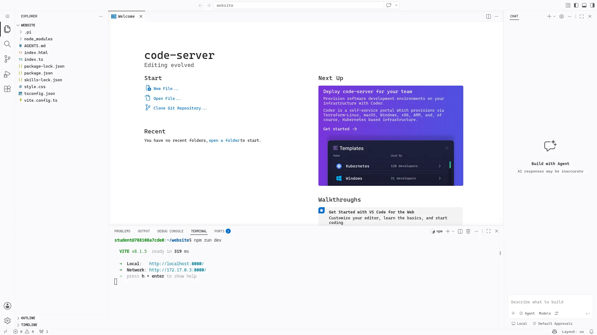 Terminal; npm run dev